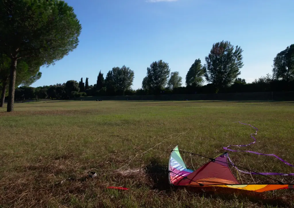 Kite fallen to the ground