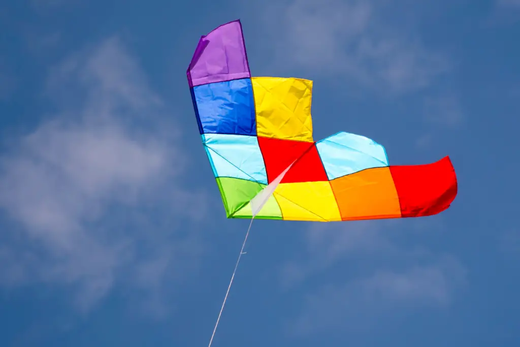 Kite Flying Basics
