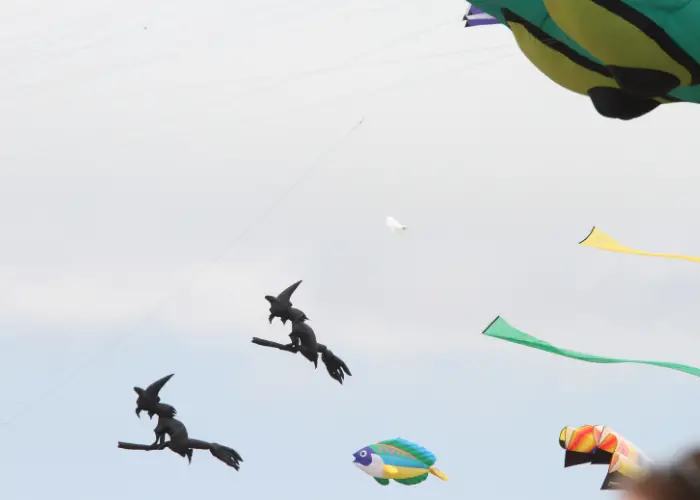 Outdoor novelty kites
