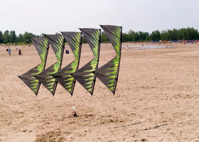 5 quad-line stunt kites in tandem