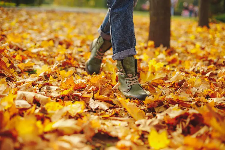 Walking amongst leaves